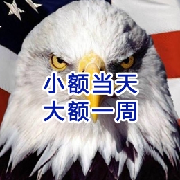 阿瓦提要账公司